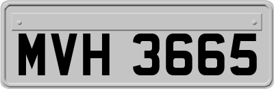 MVH3665