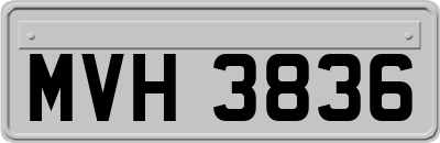 MVH3836
