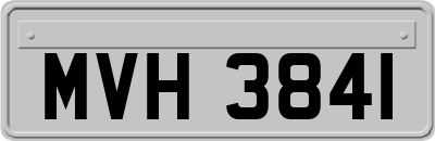 MVH3841