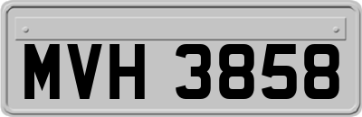MVH3858