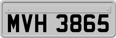 MVH3865