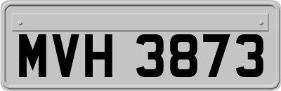 MVH3873