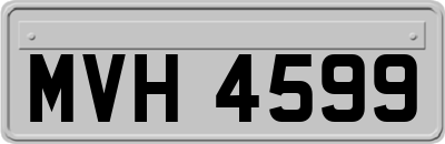 MVH4599