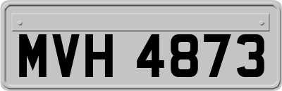 MVH4873