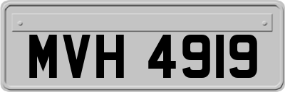 MVH4919
