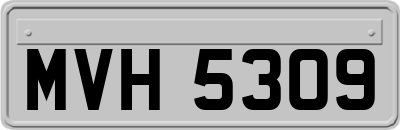 MVH5309