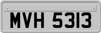 MVH5313