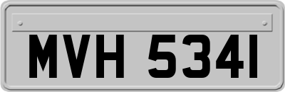 MVH5341