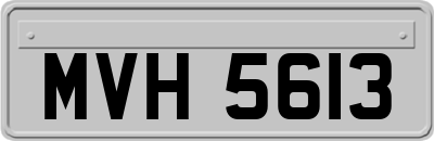 MVH5613