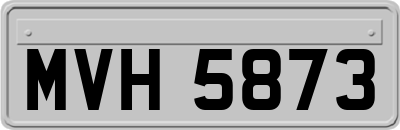 MVH5873