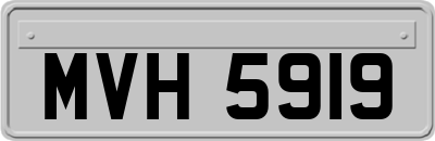 MVH5919
