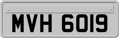 MVH6019
