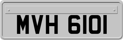 MVH6101