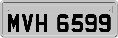 MVH6599