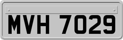 MVH7029