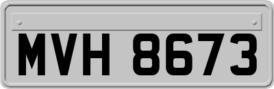 MVH8673