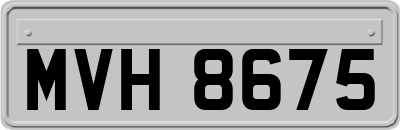 MVH8675