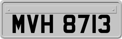 MVH8713