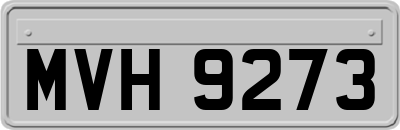 MVH9273