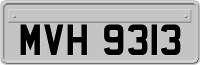 MVH9313