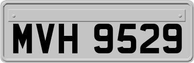 MVH9529