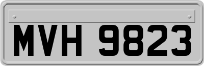 MVH9823