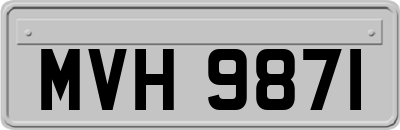 MVH9871