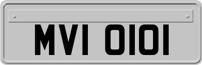 MVI0101