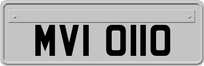 MVI0110