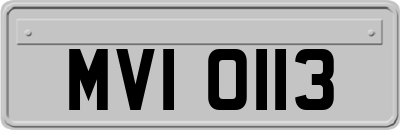 MVI0113