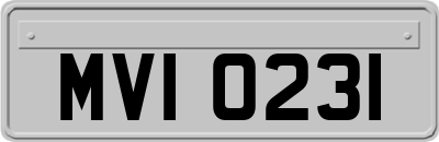 MVI0231