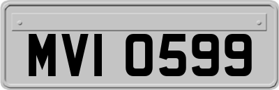 MVI0599