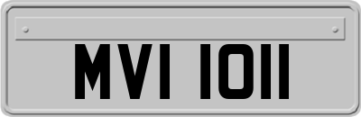 MVI1011