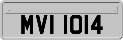 MVI1014