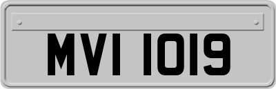 MVI1019