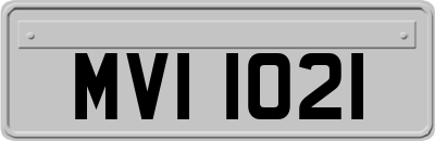 MVI1021