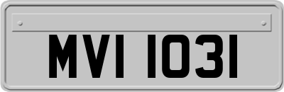 MVI1031