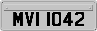 MVI1042