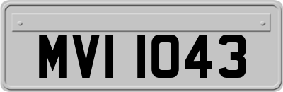 MVI1043