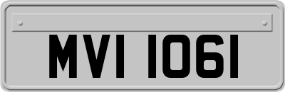 MVI1061