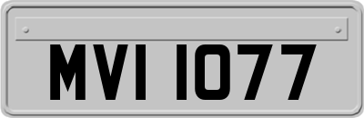 MVI1077