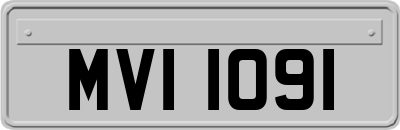 MVI1091