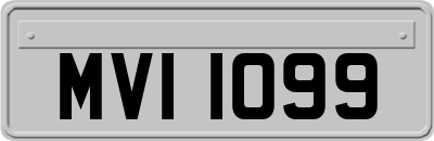MVI1099