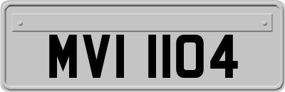 MVI1104