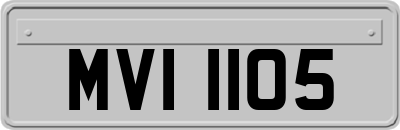 MVI1105