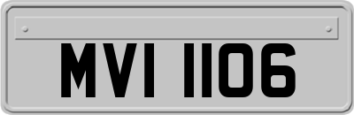 MVI1106