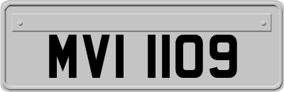MVI1109