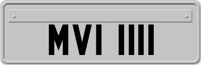 MVI1111