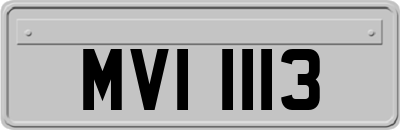 MVI1113