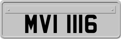 MVI1116